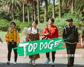 色色研究所《TOP DOG》免费在线观看