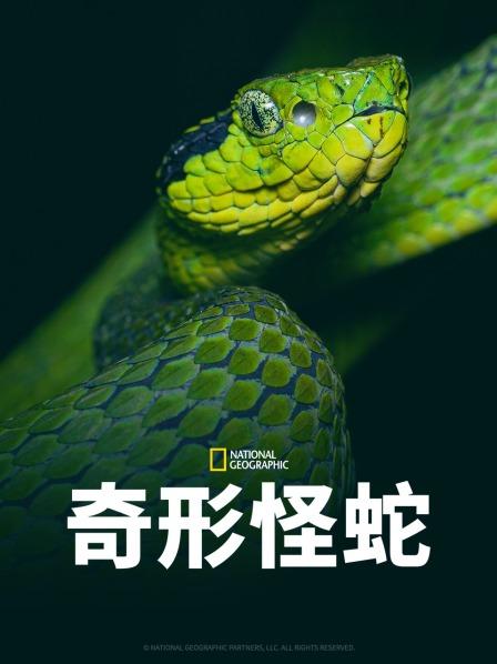 色色福利社《奇形怪蛇》免费在线观看